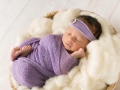 albany ny newborn photographer