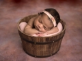 newborn photographer albany ny