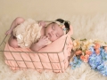 newborn photographer albany ny