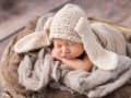 newborn photographer albany ny