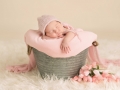 newborn photographer albany ny