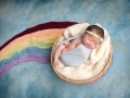 newborn photographer albany ny