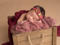 newborn photographer albany ny