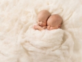 newborn photographer albany ny