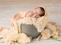 newborn photography albany ny