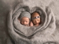 newborn twin photography albany ny