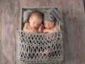twin newborn photo