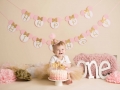 photographer albany ny - minnie mouse cake smash photo