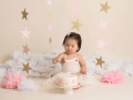 photographer albany ny - twinkle litle star cake smash