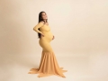 maternity photographer albany ny