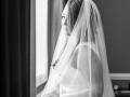 glen sanders mansion wedding photo