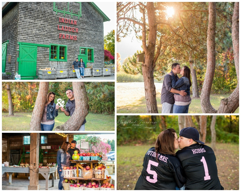 indian ladder farms engagment