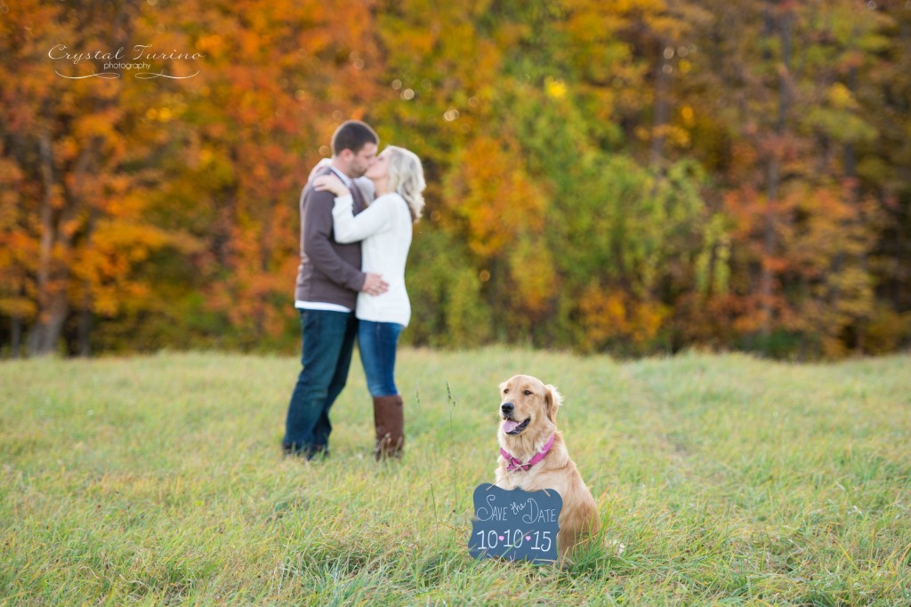 save the date photo with dog