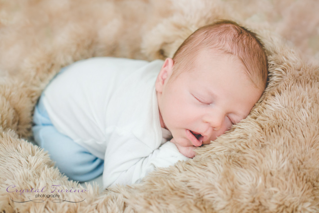 newborn photography albany ny