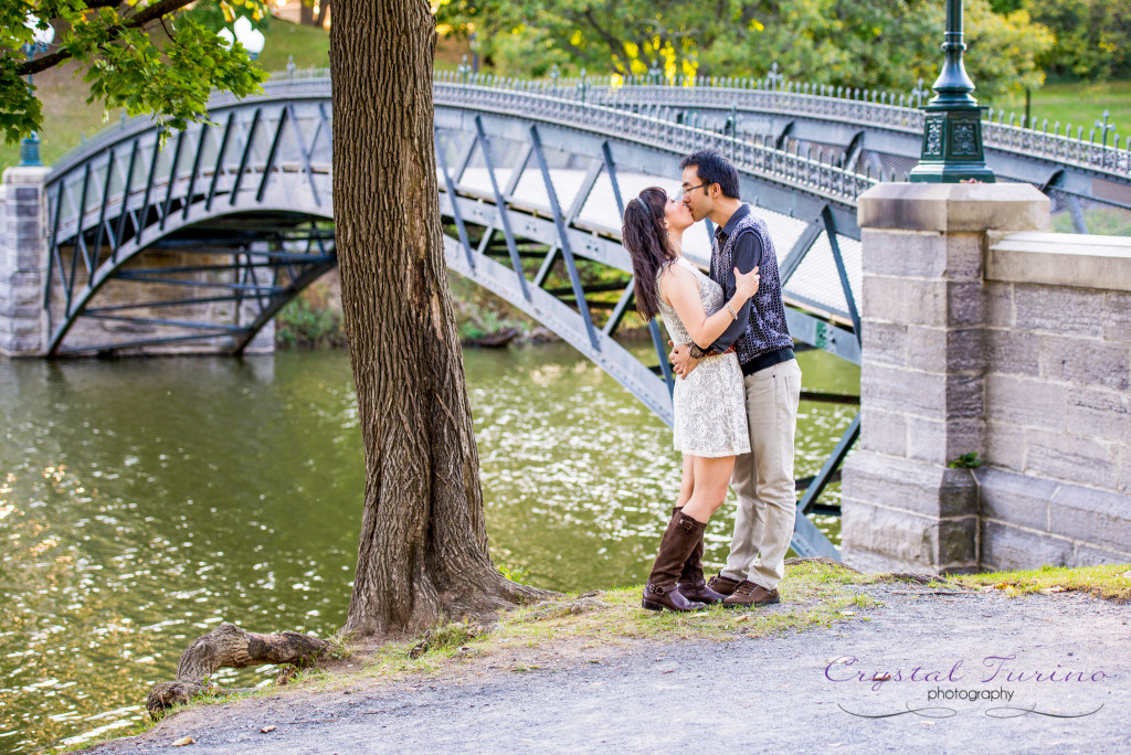 albany ny wedding photographer -engagement photo