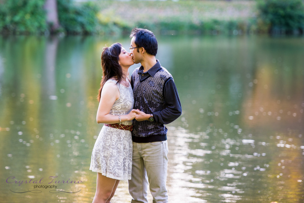 albany ny wedding photographer - washington park engagement