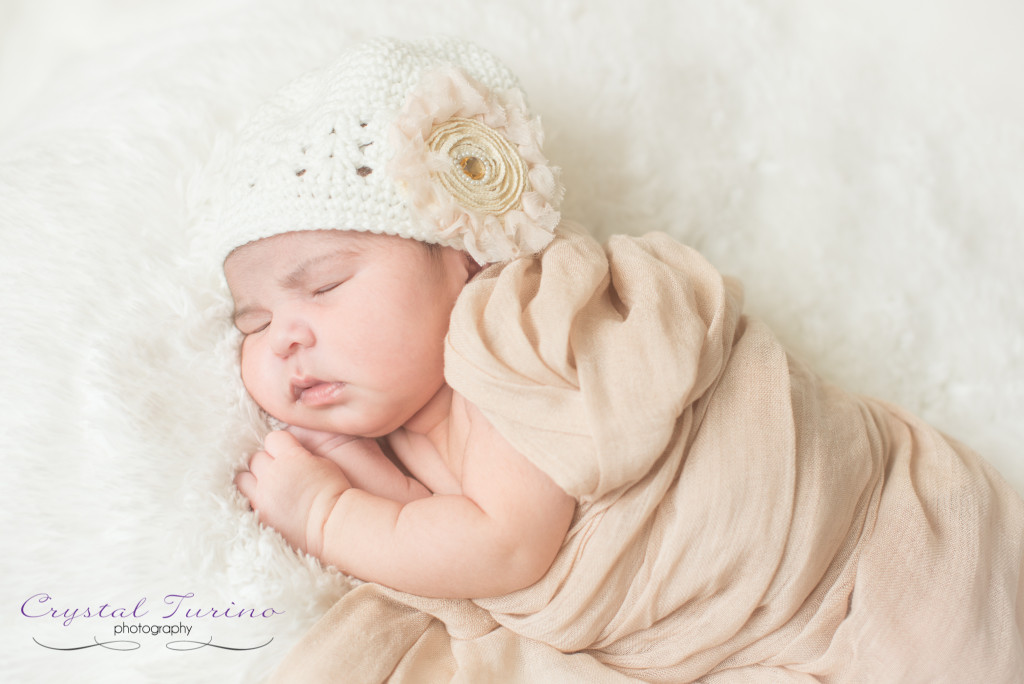 newborn photography albany ny