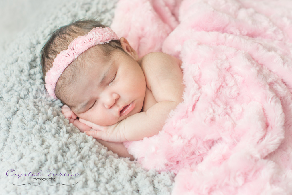 newborn photographer albany ny