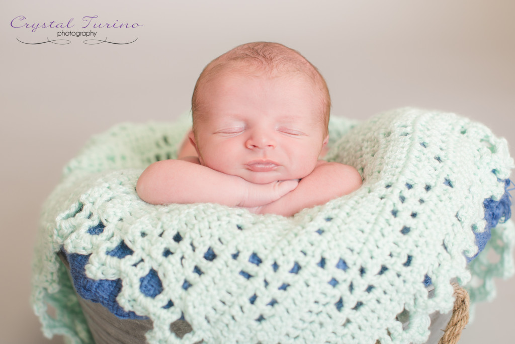 newborn photography albany ny