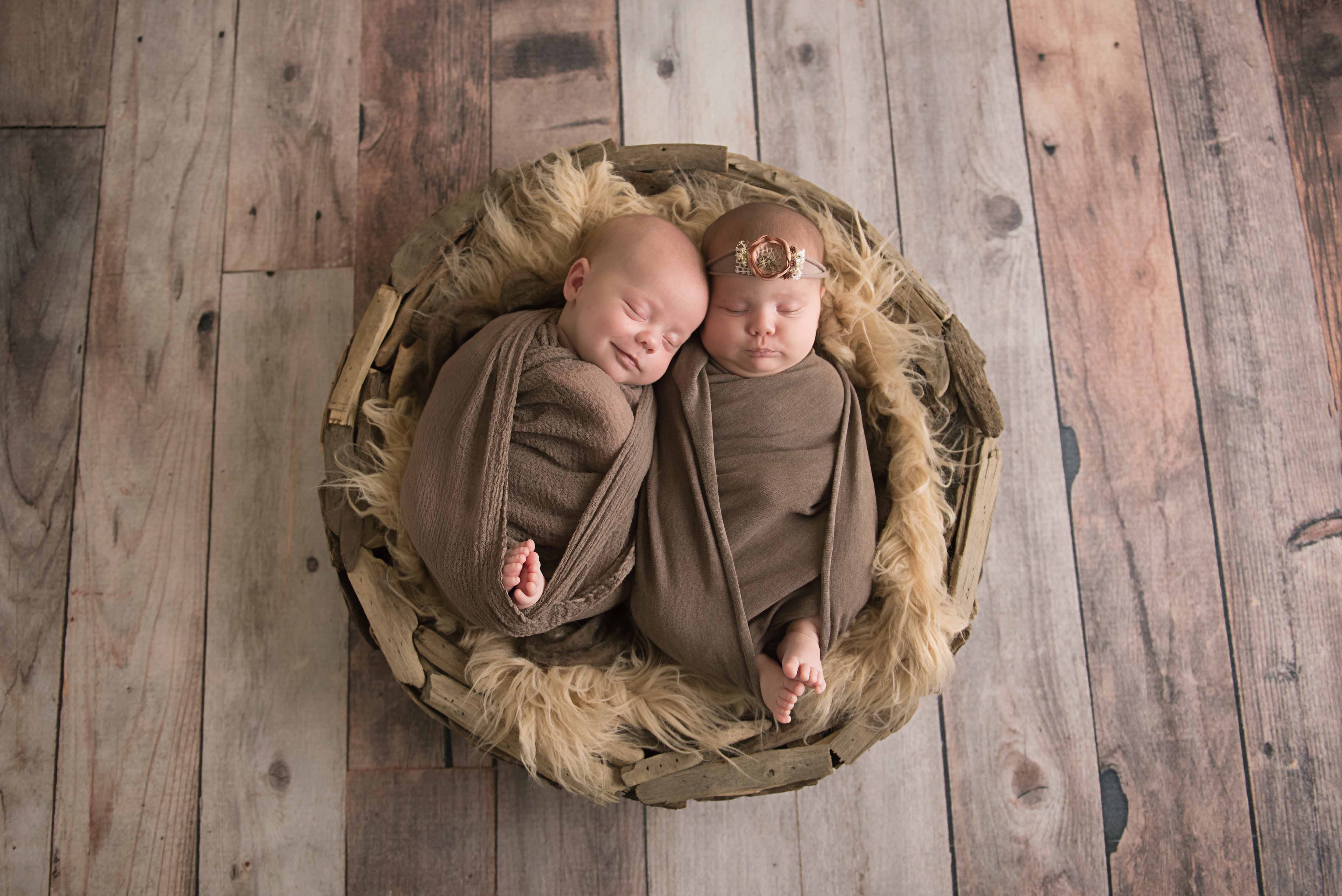 twin newborn photographer albany ny